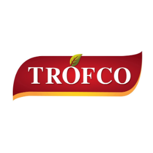 Logo 11
